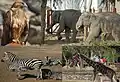 Le zoo de Sasalı