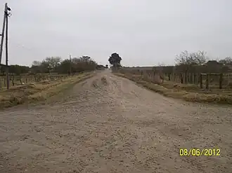 Sauce (Corrientes)