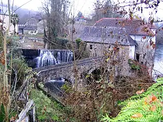Saucède