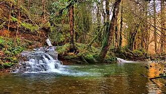 Confluence Brême-Défois.