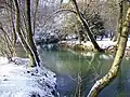 La Saulx (rivière) en hiver.