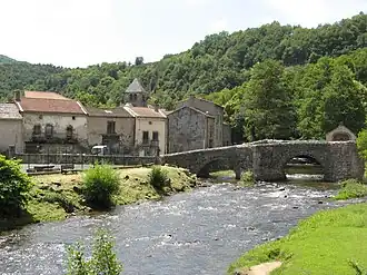 Saurier