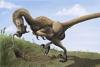 Description de cette image, également commentée ci-après