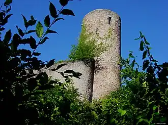 Image illustrative de l’article Château de Sausenburg