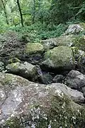 Canyon du Saut-Roland, Dompierre-du-Chemin
