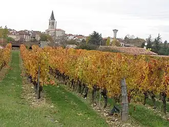 Sauzet (Lot)