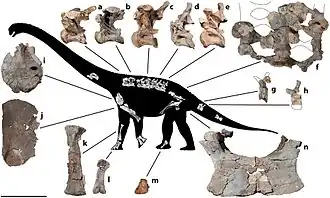 Description de cette image, également commentée ci-après