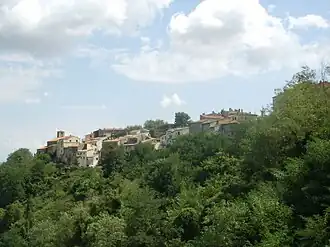 Scansano