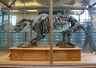 Description de cette image, également commentée ci-après