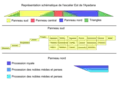 Schéma de l’escalier est de l’Apadana