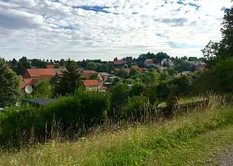Schielo