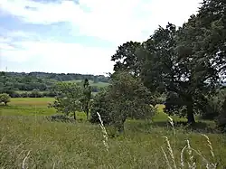  Vue d'un paysage campagnard, au fond des collines.