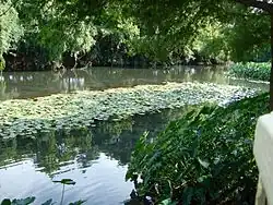 Le Comal en 2006.