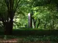 Ruine der Burg Niederschlitz