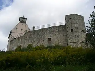Auenwald