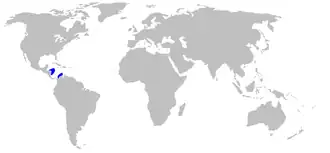 Description de l'image Schroederichthys_maculatus_distmap.png.