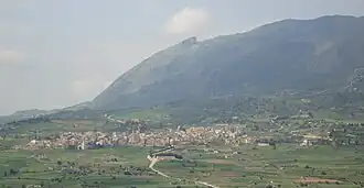 Cerda