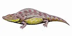 Sclerothorax, un limnarchien basal, par D. Bogdanov.
