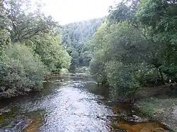 Le Scorff au pont du Stang (limite communale Plouay-Guilligomarc'h).