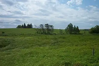 Scotchfort