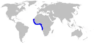 Description de l'image Scyliorhinus_cervigoni_distmap.png.