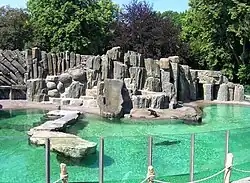 Bassin des otaries à fourrure d'Afrique du Sud.