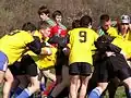 Section sportive rugby Bonnefont.