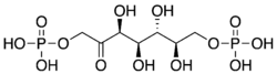 Image illustrative de l’article Sédoheptulose-1,7-bisphosphate