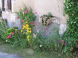 Mur fleuri.