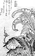 Bashōnosei (芭蕉精?)