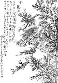 Korōka (ja:古籠火?)