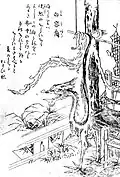 Shirouneri (ja:白溶裔?)