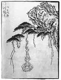 Le tsurubebi (?) est une boule de feu qui tombe d'un arbre. Peut-être en relation avec le tsurube-otoshi.