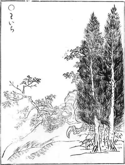 Le waira (ja:わいら?) est une grosse bête qui se cache dans les montagnes et dont on sait peu de choses.