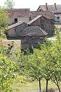 Babina Luka - Panorama