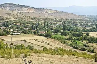 Banyané