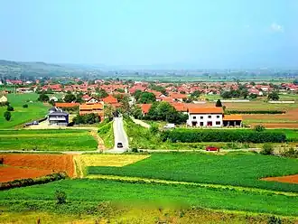 Belotinac