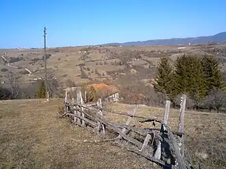 Detane