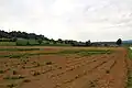village de Donja Bukovica - village panorama