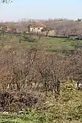 Gola Glava - Panorama