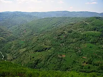 Kaluđerovići