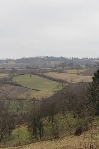 Klinci