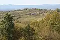 Osečina selo - panorama
