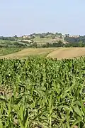 Paune - panorama