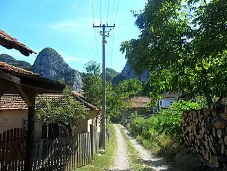 Vlasi