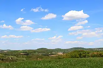 Zabrdica