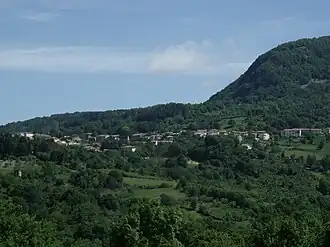 Selvena