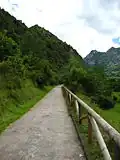 Le Sentier de l'ours.