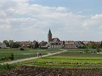 Sennfeld