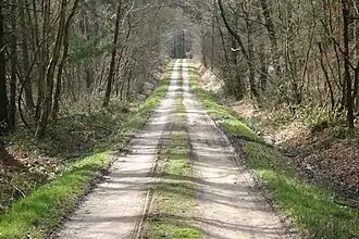 Image illustrative de l’article Forêt de Loudéac